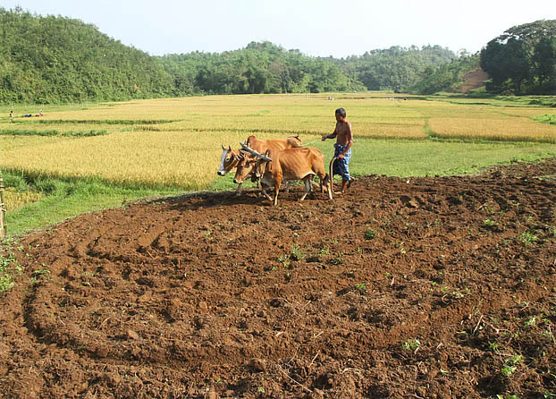 শীতের আমেজ