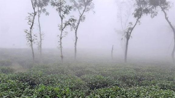 দেশের সর্বনিম্ন তাপমাত্রা শ্রীমঙ্গলে