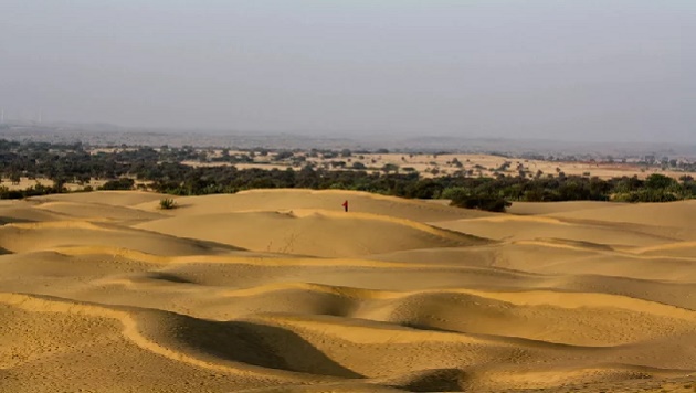 বিশাল মরুভূমিটি কেন সবুজ হয়ে উঠছে