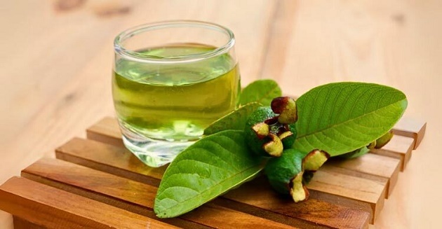 পেয়ারা পাতার চায়ের যেসব অসাধারণ গুণ জানা দরকার