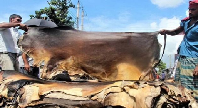 কোরবানির চামড়া সংক্রান্ত বিধি-বিধান