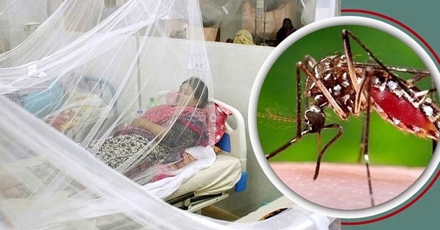 ডেঙ্গুতে একজনের মৃত্যু, হাসপাতালে ভর্তি ৩২৯