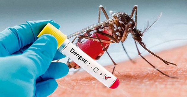 ডেঙ্গু কাড়লো আরও ৪ প্রাণ, শনাক্ত ৩১৯