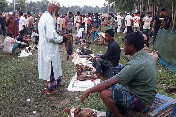 মৌলভীবাজারের এক বেলার ভেড়া-ছাগল, হাঁস-মোরগের ব্যতিক্রমী হাট