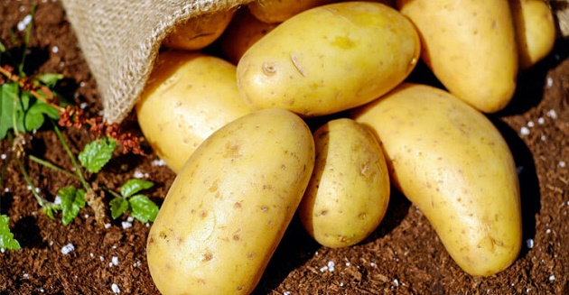 আলু খাওয়ার উপকারও আছে, জানেন কি