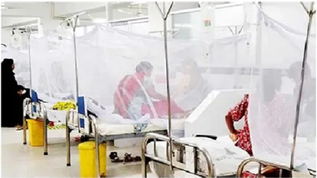 ডেঙ্গুতে ৪ জনের মৃত্যু, ভর্তি ১১৪৩