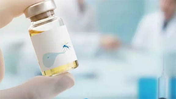 বিশ্বে প্রথম এক ডোজের ডেঙ্গুর টিকা অনুমোদন দিল ব্রাজিল