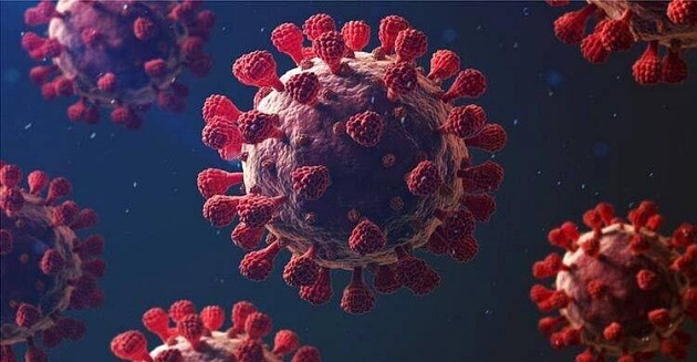 ৫০ ধরনের ক্যান্সার শনাক্তে রক্ত পরীক্ষায় চমকপ্রদ ফল