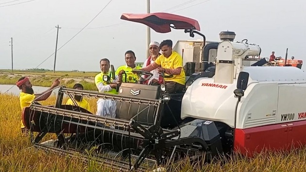 খালিয়াজুরী হাওড়ে ধান কাটা শুরু