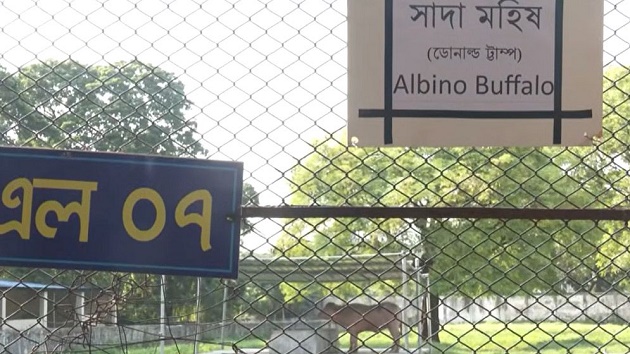 ‘ডোনাল্ড ট্রাম্প’ বানান ভুল লিখে ভাইরাল চিড়িয়াখানা কর্তৃপক্ষ