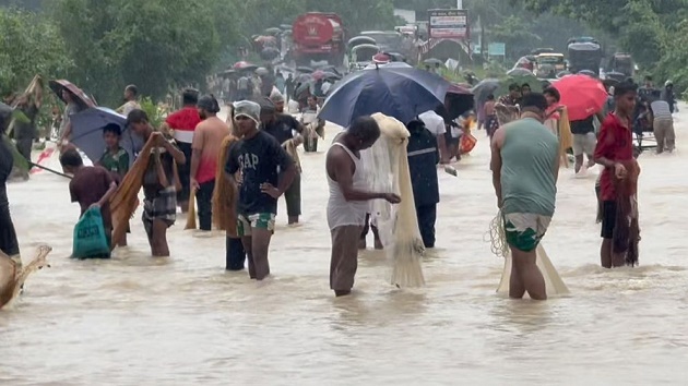 সড়কে জাল দিয়ে মাছ শিকার