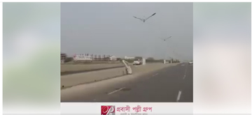 প্রবাসী পল্লীতে