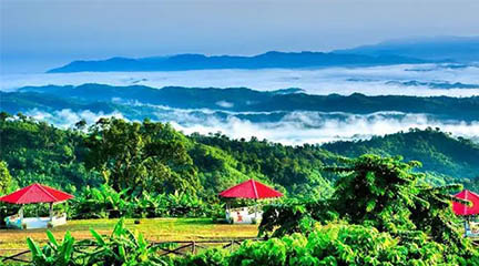 হারিয়ে যাওয়ার স্বর্গরাজ্য সাজেক