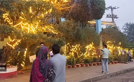 রেস্তোরাঁয় হাজির হাজারো চড়ুই