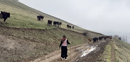 ইরানী গ্রামীণ জীবন